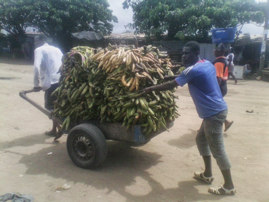 Article : JEUNESSE IVOIRIENNE: Ces métiers qui font vivre!